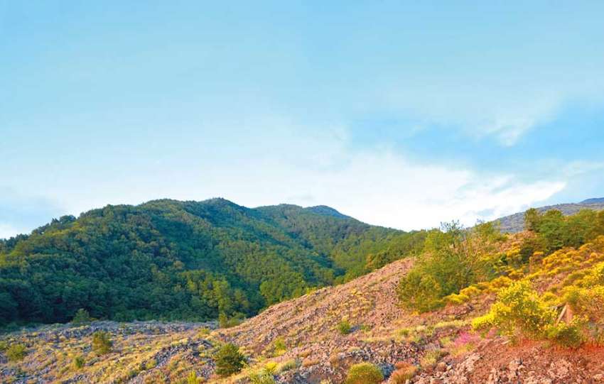 Parco Nazionale del Vesuvio